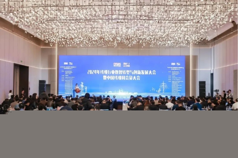 萬馬股份榮獲“2024年度中國線纜行業(yè)領軍品牌企業(yè)”